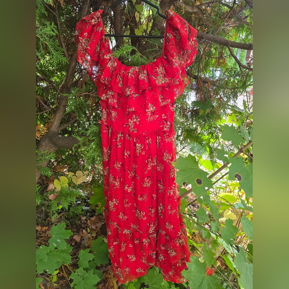 Zara | Flowy Maxi Dress